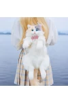 Fairy Light Calico Cat Doll Backpack